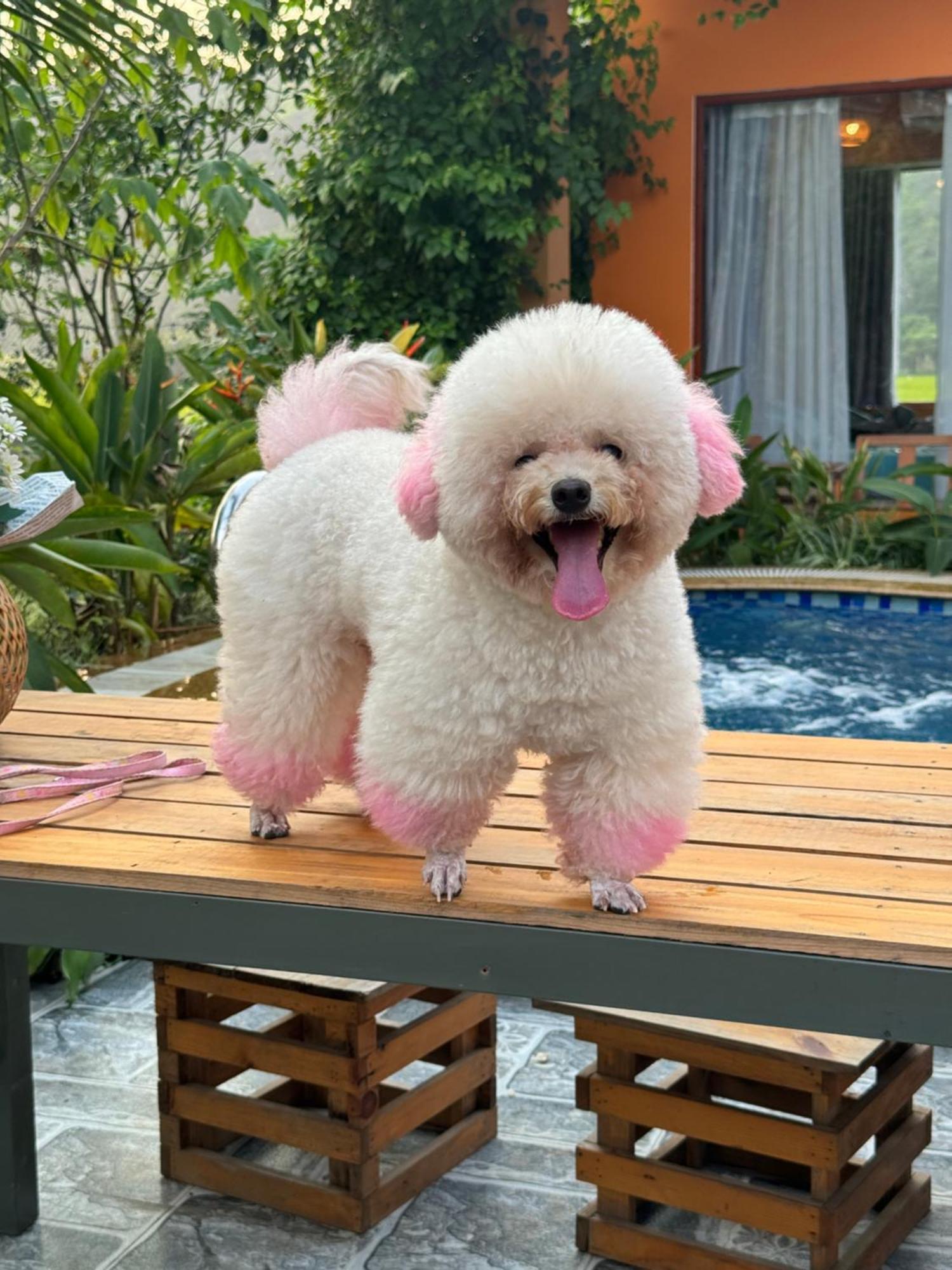 Rosa Garden Hotel นิญบิ่ญ ภายนอก รูปภาพ