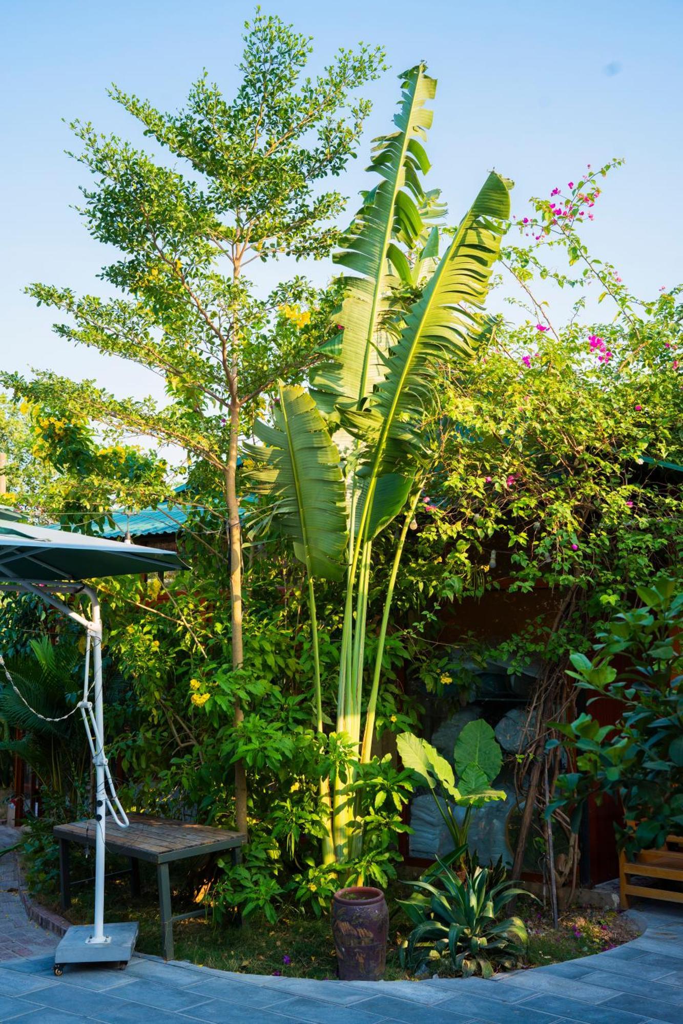 Rosa Garden Hotel นิญบิ่ญ ภายนอก รูปภาพ