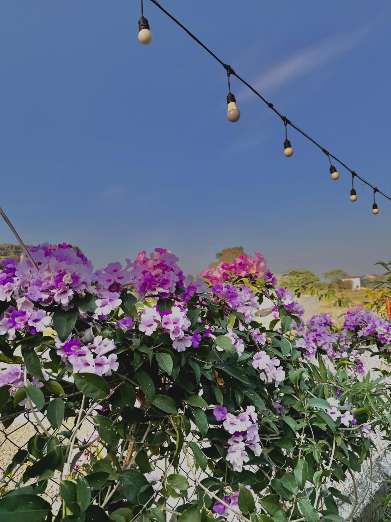 Rosa Garden Hotel นิญบิ่ญ ภายนอก รูปภาพ